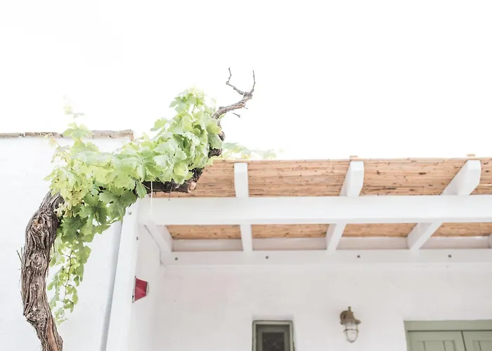 Nastasia Village Naxos City